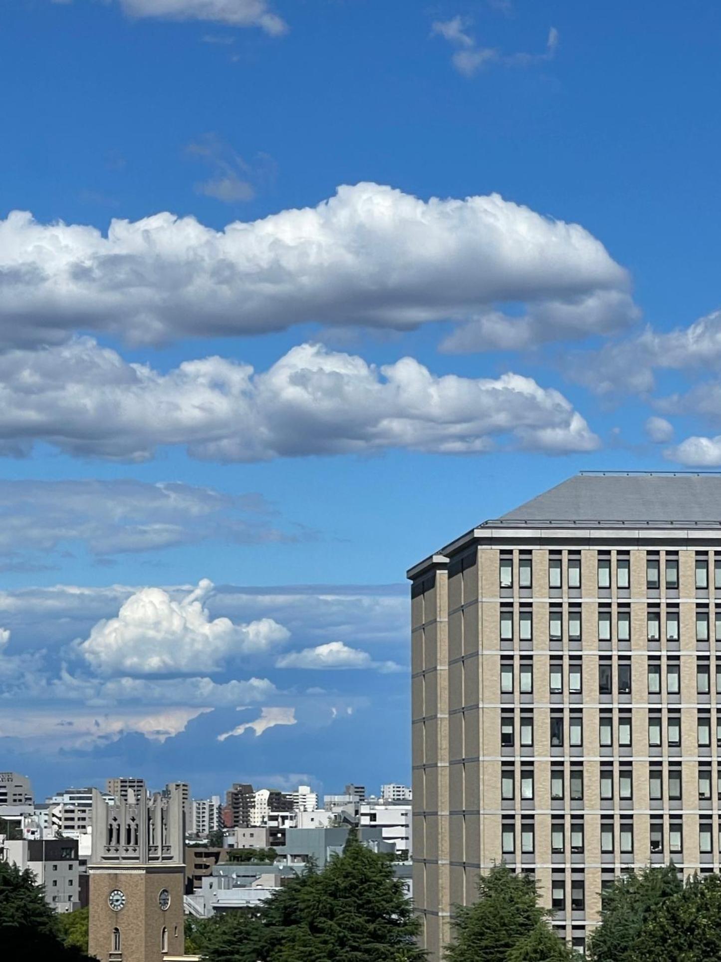 新宿区早稻田地铁6分钟两室景观公寓 公寓